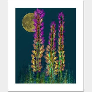 Desert Candle Foxtail Lily Posters and Art